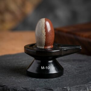 Ardhanareshwaer Narmada Shivling Narmadeshwar Shivling Ardhanarishwar Shivlingam