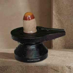 Rare Narmadeshwar Shivling Pure Narmada Shivling Small Narmada Narmadeshwar Shivling