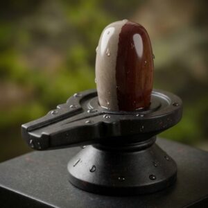 Trendy Idols Figurines