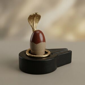 Narmadeshwar Shivling With Narmadeshwar Jaladhari Brass Snake