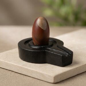 Original Narmadeshwar Shivling Narmada Shivling With Narmada Stone Jaladhari Yoni Base