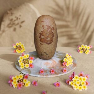 3 Inch Narmadeshwar Shivling Narmada Shivling Banalingam Shivling Tilak Dhari Lingam White And Red Shivling 3 Inch For Tempal Puja
