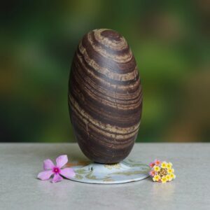6 Inch Orignal Narmadeshwar Banalingam Shivling For Temple Puja