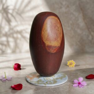 6 Inch Orignal Natural Narmadeshwar Banalingam Shivling For Home Puja