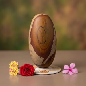 6 Inch Orignal Natural Narmadeshwar Banalingam Shivling For Temple Puja