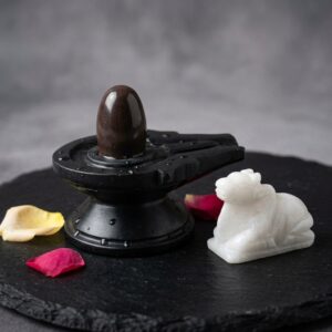 Original Swayambhu Narmadeshwar Shivling With Jaladhari Nandifor Temple Puja