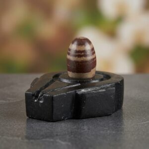 Original Narmadeshwar Shivling Narmada Shivling With Narmada Stone Jaladhari Yoni Base