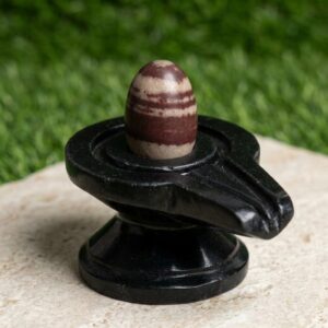 Original Narmadeshwar Shivling Narmada Shivling With Narmada Stone Jaladhari Yoni Base