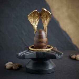 Original Swayambhu 2 Inch Narmadeshwar Shivling With 4 Inch Damru Jaladhari And Nag Snake For Home Puja