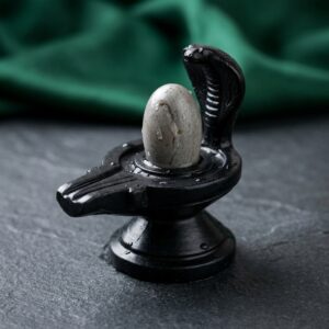 2 Inch Original Natural Narmadeshwar Shivling Narmada Stone Shiva Lingam With 3 Inch Jaldhari Naag For Temple Puja