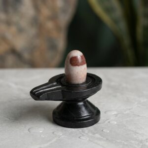 Original Swayambhu 2 Inch Narmadeshwar Shivling With Jaladhari For Home Puja