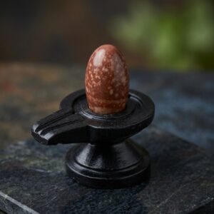 2 Inch Original Natural Narmadeshwar Shivling Narmada Stone Shiva Lingam With 3 Inch Jaldhari Naag For Temple Puja