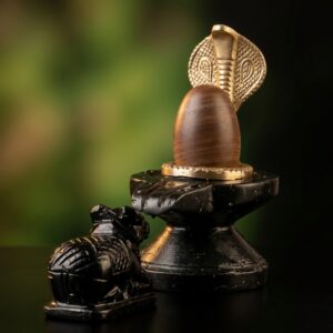 2 Inch Original Natural Narmadeshwar Shivling Narmada Stone Shiva Lingam With 3 Inch Jaldhari Naag For Temple Puja