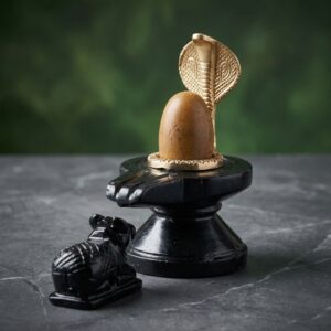 Original Swayambhu 2 Inch Narmadeshwar Shivling With Jaladhari For Home Puja