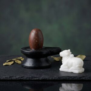 100 Natural Origanal Narmada Stone Narmadeshwar 1 Inch Bana Lingam And 2 5 Inch Black Jaladhari For For Worship At Home Lord Mahadeva Shivsankar Size 1 X 2 5
