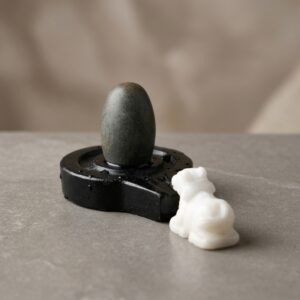 100 Natural Origanal Narmada Stone Narmadeshwar 1 Inch Bana Lingam And 2 5 Inch Black Jaladhari For For Worship At Home Lord Mahadeva Shivsankar Size 1 X 2 5