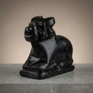 100 Natural Origanal Narmada Stone Narmadeshwar Nandhi Ji For Worship At Home Size 4 Inch
