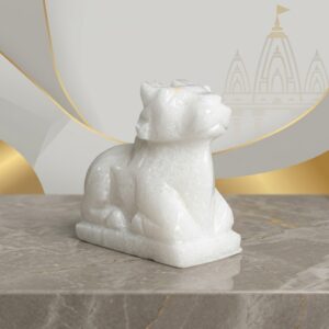 100 Natural Origanal Narmada Stone Narmadeshwar White Nandhi Ji For Worship At Home Size 2 Inch