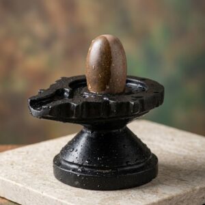 Antique Unique Narmada Stone Bana Lingam 100 Natural Narmadeshwar 2 Inch Shivling And 4 Inch Damru Jaladhari For Worship At Home Size 2 X 4