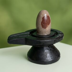 100 Natural Narmada Stone Bana Lingam Narmadeshwar 2 Inch Top Shivling 4 Inch Damru Jaladhari Size 2 X 4