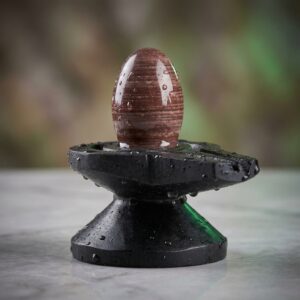 2 Inches Janeudhari Narmadeshwar Shivling With Narmada Stone Jaladhari