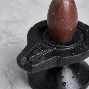 Narmadeshwar Shivling With Damru Bass Jaladhari