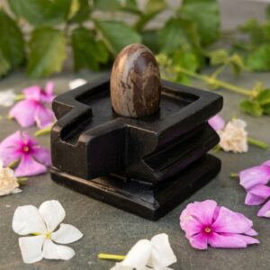 Narmada Shivling & Square Jaladhari