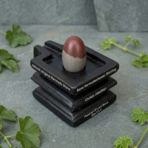 Natural Origanal Narmada Stone Bana Narmadeshewar Shivling Chokor Jaladhari Energetic Stone Powered Of Lord Shiva Size 2 X 4