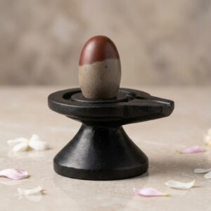 Natural Origanal Narmada Stone Bana Narmadeshewar Shivling Damru Jaladhari Energetic Stone Powered Of Lord Shiva Size 2 X 4