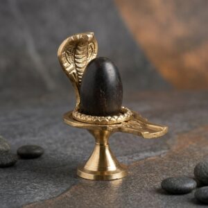 Shivam Vastukala Brass Jaladhari Narmadeshwar Shivling With Brass Base