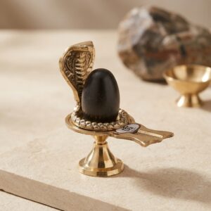 Shivam Vastukala Brass Jaladhari Narmadeshwar Shivling With Brass Base