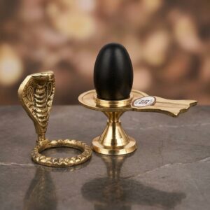 Shivam Vastukala Brass Jaladhari Narmadeshwar Shivling With Brass Base