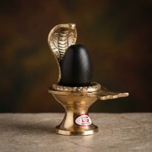 Shivam Vastukala Brass Jaladhari Narmadeshwar Shivling With Brass Base