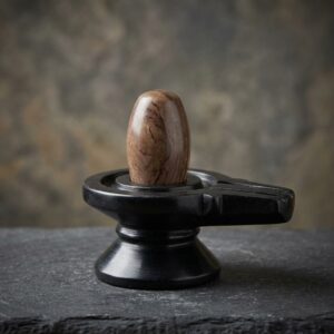 Narmada Narmadeshwar Shivling Art Originall Narmadeshwar Shivling Narmada Shivling Home Puja Daily Shivlingam