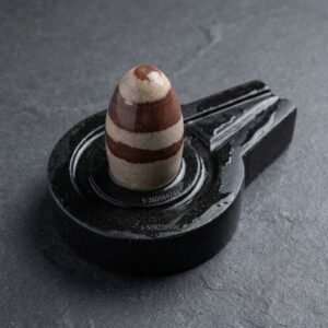 Janeudhari Narmadeshwar Shivling Brown Colour Original Narmadeshwar Shivling L Narmada Stone Shiva Lingam Mahadev Idol For Home Pooja