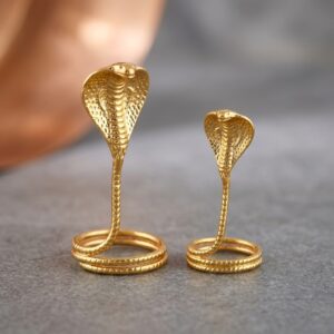 Copper Naag Nagin Joda For Kalsarp Dosha One Pair Of Naag Nagin